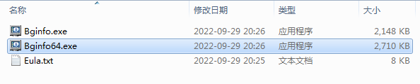 BGInfov4.32