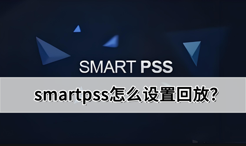 smartpss怎么设置回放