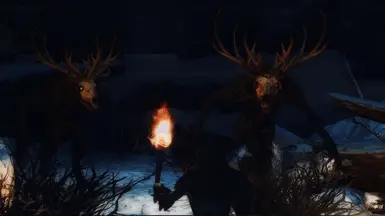 《上古卷轴5：天际重制版》温迪戈生物MOD