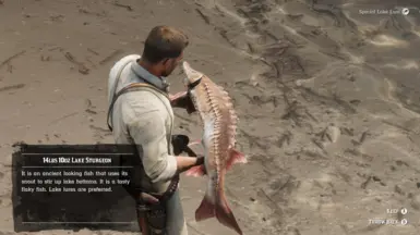 《荒野大镖客2》MOD|渔夫|下载