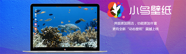 小鸟壁纸v3.1123.1835.405