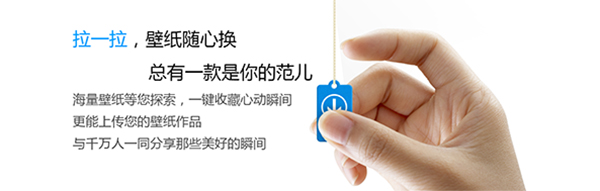 小鸟壁纸v3.1123.1835.405