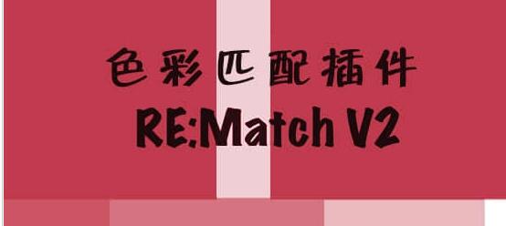 REMatchv2.1