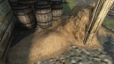 《上古卷轴5：天际重制版》MOD|现代干草|下载