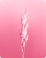 稿定Pro1.1.1