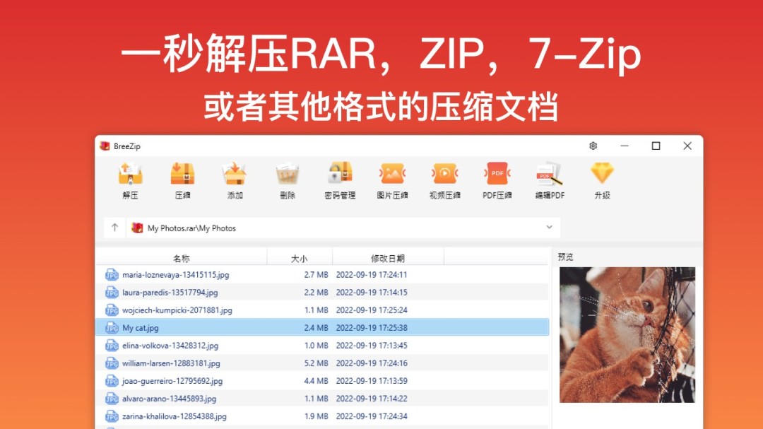 Breezip1.3.10