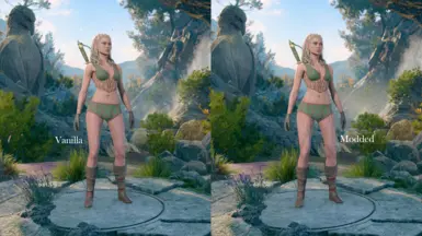 《博德之门3》MOD|肌肉发达的贾希拉|下载