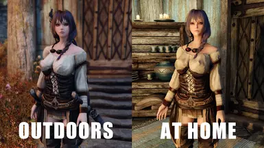 《上古卷轴5：天际重制版》沉浸式设备展示MOD