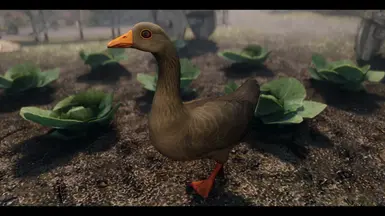 《上古卷轴5：天际重制版》MOD|农场鹅|下载