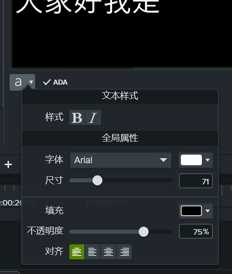Camtasia怎么设置字幕位置