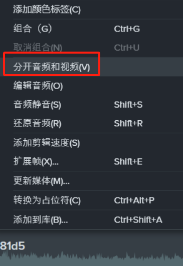 Camtasia怎么分离人声和噪音