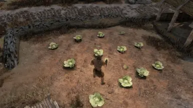 《上古卷轴5：天际重制版》远程收获MOD