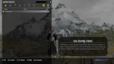 《上古卷轴5:天际重制版》MOD|死神种族|下载