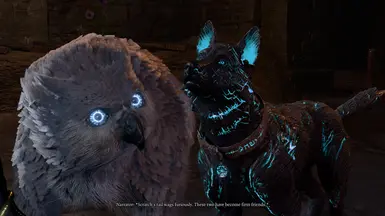 《博德之门3》MOD|银鸮熊幼崽|下载