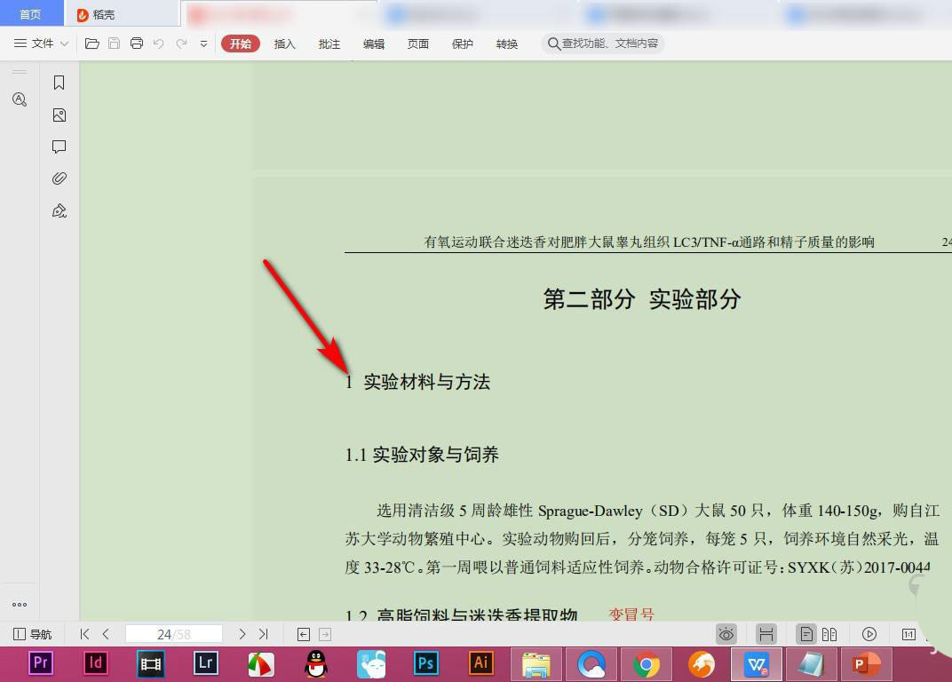 WPS中字体样式怎么查看