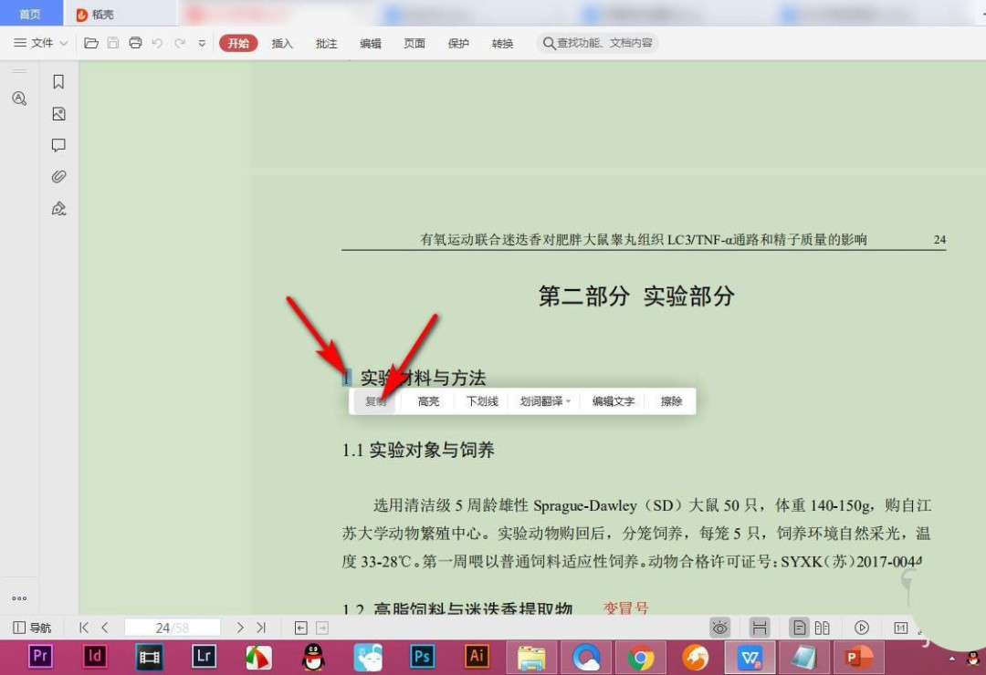 WPS中字体样式怎么查看