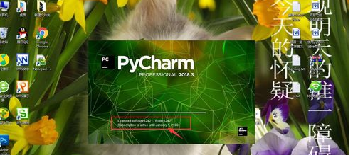 PyCharm怎么查看有效期