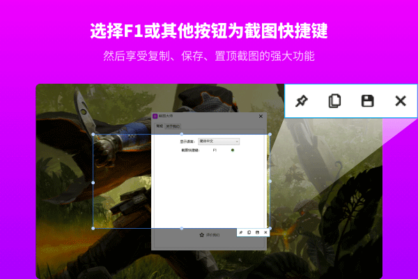 截图大师电脑版
