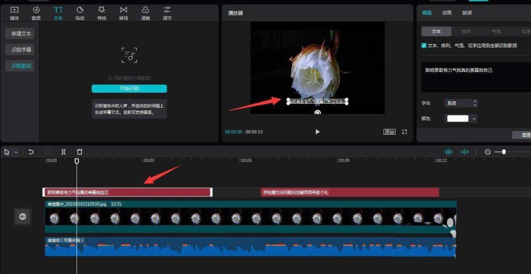 剪映颜色逐字覆盖动画的制作技巧