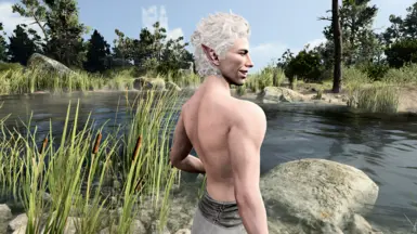 《博德之门3》MOD|阿斯塔里奥的治疗方法|下载