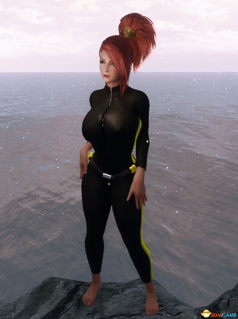 《上古卷轴5:天际重制版》MOD|辐射4潜水服|下载