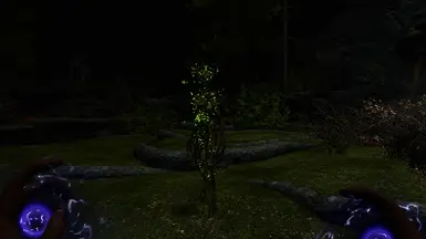 《上古卷轴5：天际重制版》斯普里根的咒语书MOD