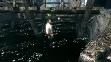 《上古卷轴5:天际重制版》盗贼的眼标MOD