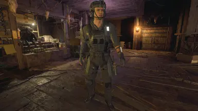 《生化危机4：重制版》MOD|海豹突击队服装|下载