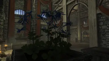 《上古卷轴5：天际重制版》死树大厅换花MOD