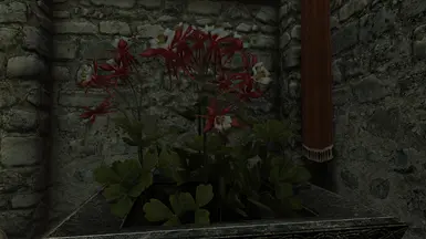 《上古卷轴5：天际重制版》死树大厅换花MOD