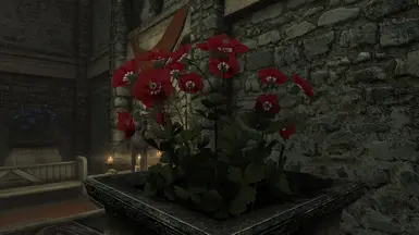 《上古卷轴5：天际重制版》死树大厅换花MOD