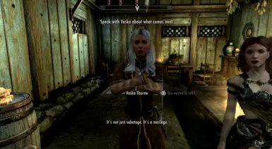 《上古卷轴5：天际重制版》MOD|索恩的毒刺|下载