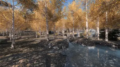 《上古卷轴5：天际重制版》MOD|逼真的白杨树枝重新着色|下载