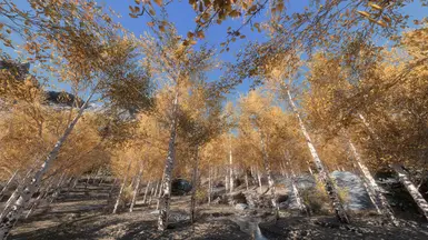 《上古卷轴5：天际重制版》MOD|逼真的白杨树枝重新着色|下载