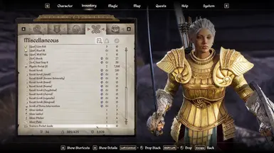 《上古卷轴4：湮灭重制版》运动鞋袖珍指南MOD