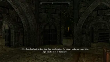 《上古卷轴5：天际重制版》龙裔博物馆马厩MOD