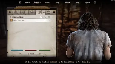 《上古卷轴4：湮灭重制版》袖珍指南MOD