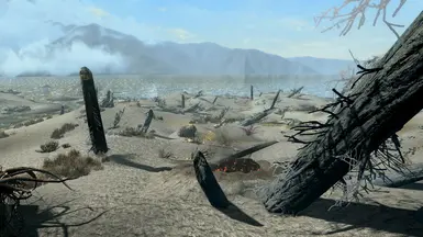 《上古卷轴5：天际重制版》断树去除剂MOD