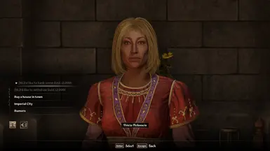 《上古卷轴4：湮灭重制版》MOD|帝国银行|下载