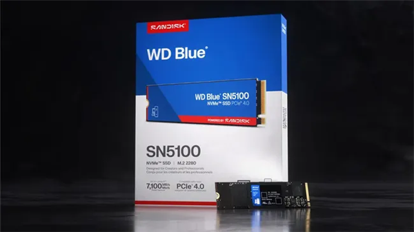 ƳWDSN5100 SSD30%۸˳20%