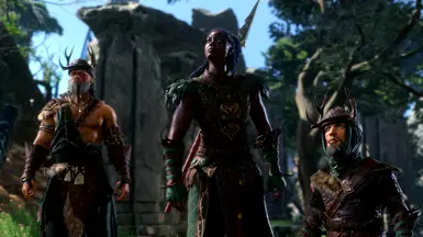 《博德之门3》翡翠林的守护者MOD