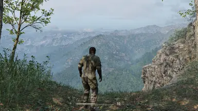 《合金装备3：食蛇者》禁用晕影MOD