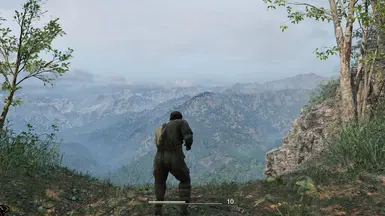 《合金装备3：食蛇者》禁用晕影MOD