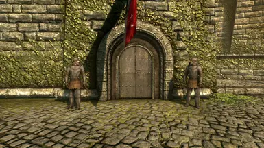 《上古卷轴5：天际重制版》MOD|湮灭风格军团|下载