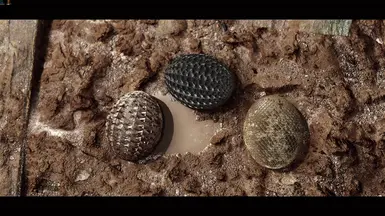 《上古卷轴5:天际重制版》MOD|龙蛋外观|下载