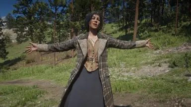 《荒野大镖客2》MOD|阿比盖尔头发调整|下载