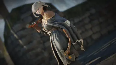 《上古卷轴5：天际重制版》狼族斧MOD