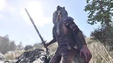 《上古卷轴4：湮灭重制版》MOD|装甲毛皮|下载