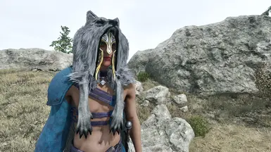 《上古卷轴4：湮灭重制版》MOD|装甲毛皮|下载