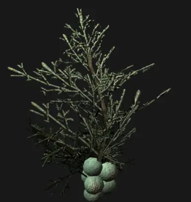 《上古卷轴5：天际重制版》MOD|可制作的杜松子蜂蜜酒|下载